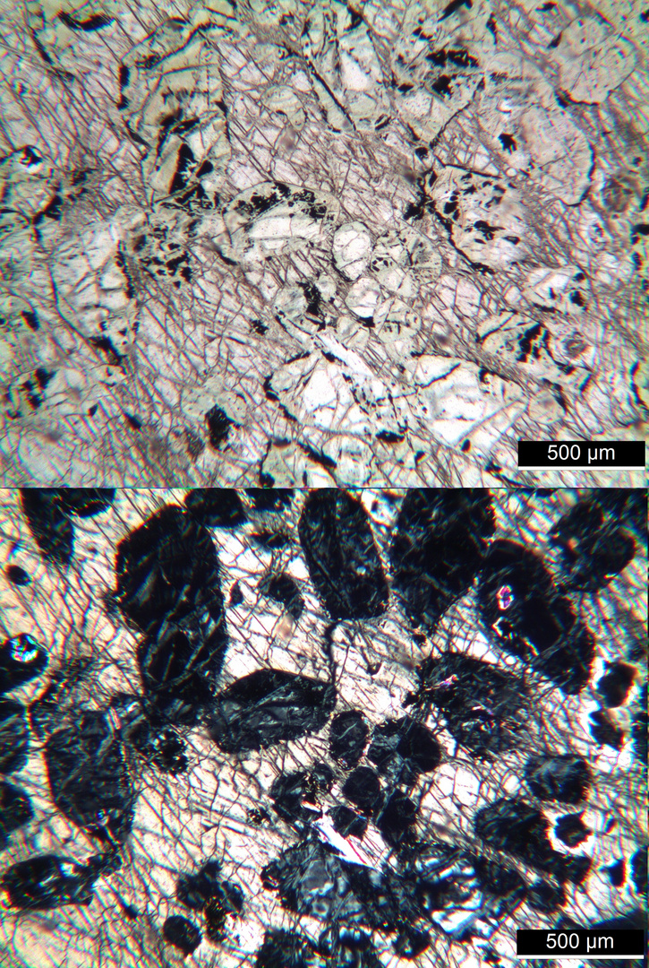 Polarisationsmikroskopie: Amphibol-Peridotit aus dem Odenwald