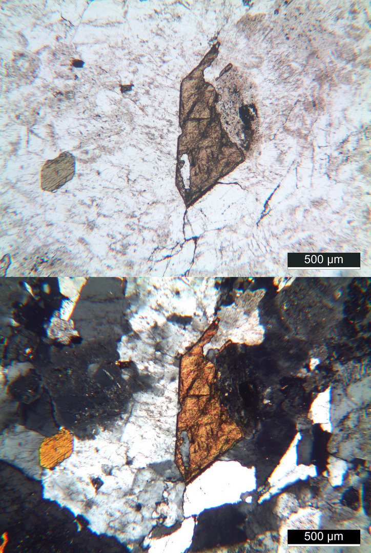 Polarisationsmikroskopie: Amphibol-Syenit aus dem Raum Dresden