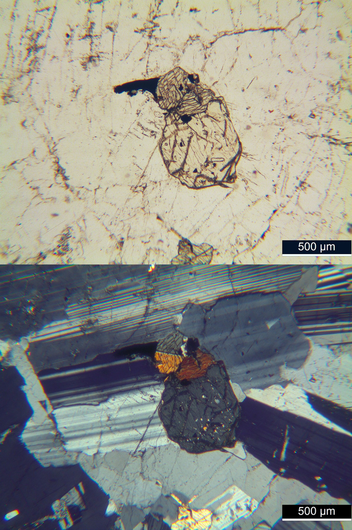 Polarisationsmikroskopie: Augit-Syenit aus Sachsen