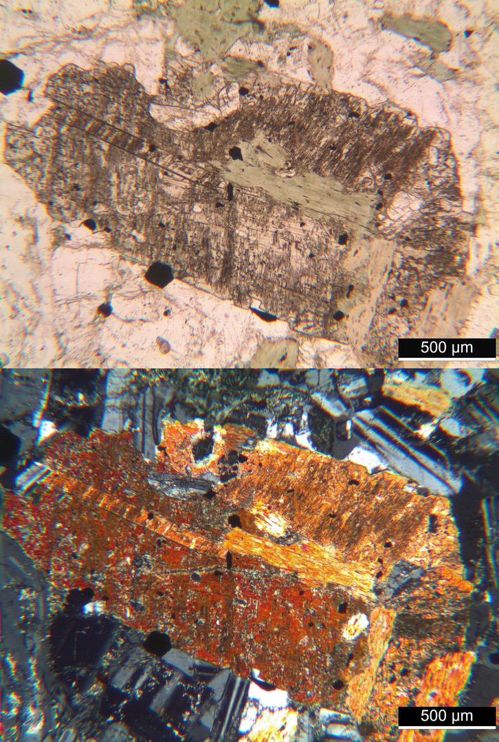 Polarisationsmikroskopie: Augitdiorit aus Ungarn