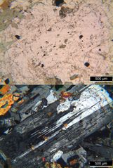 Polarisationsmikroskopie: Augitdiorit aus Ungarn