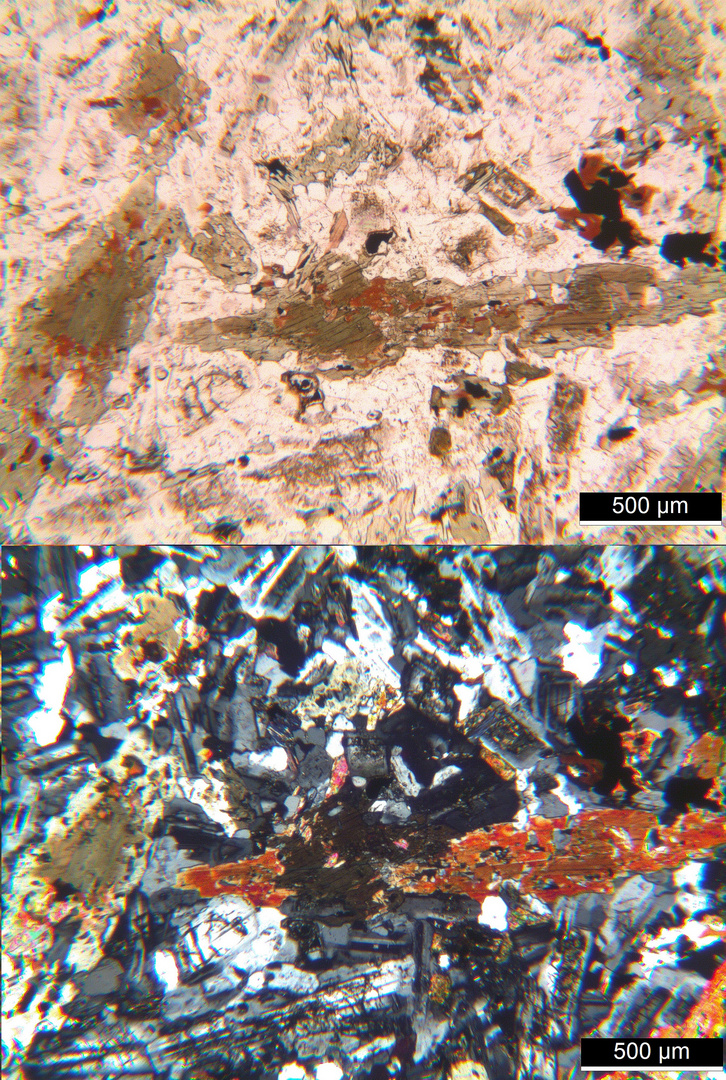 Polarisationsmikroskopie: Banatit (Granodiorit) aus dem Banat, Rumänien