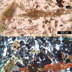 Polarisationsmikroskopie: Banatit (Granodiorit) aus dem Banat, Rumänien