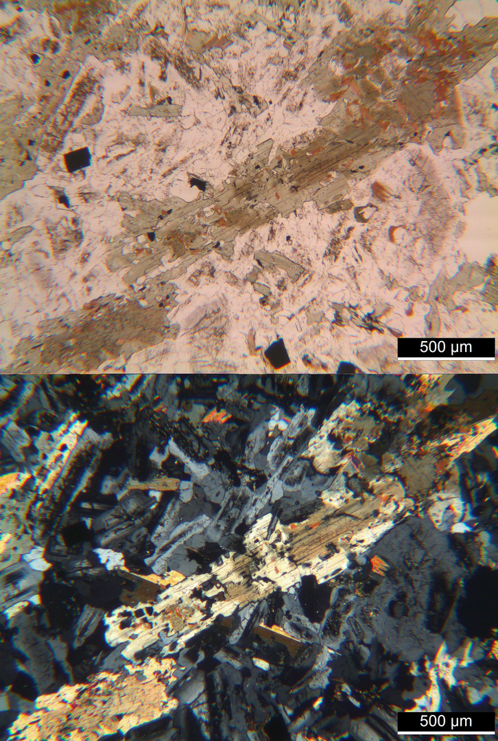 Polarisationsmikroskopie: Banatit (Granodiorit) aus dem Banat, Rumänien