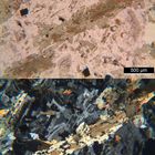 Polarisationsmikroskopie: Banatit (Granodiorit) aus dem Banat, Rumänien