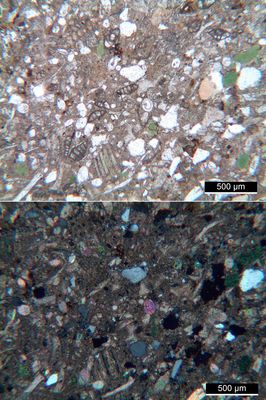 Polarisationsmikroskopie: "Baumberger Sandstein" aus dem Münsterland