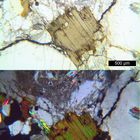 Polarisationsmikroskopie: Biotit in Granit