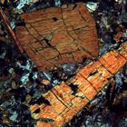 Polarisationsmikroskopie: "Braune Hornblende"