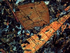 Polarisationsmikroskopie: "Braune Hornblende"