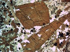 Polarisationsmikroskopie: "Braune Hornblende"