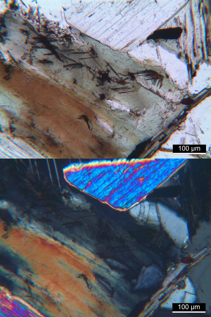 Polarisationsmikroskopie: Chloritisierter Biotit in Granit