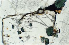 Polarisationsmikroskopie: Cordierit-Gneis mit Hercynit