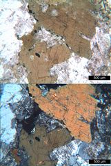 Polarisationsmikroskopie: Diorit aus dem Odenwald
