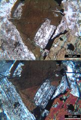Polarisationsmikroskopie: Diorit aus dem Odenwald