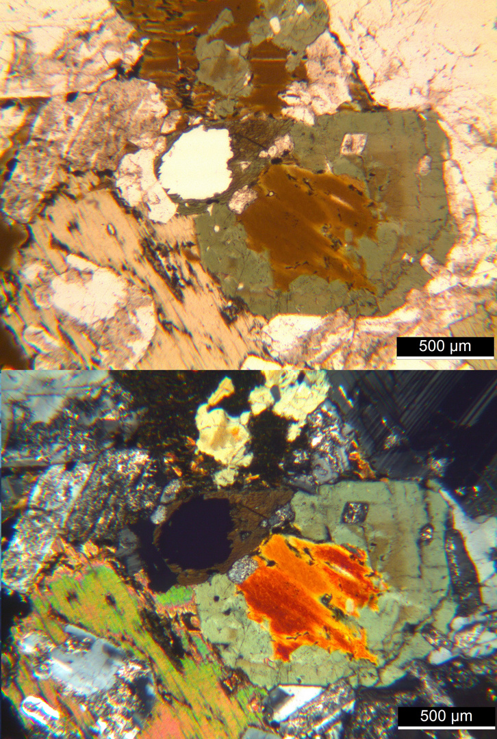 Polarisationsmikroskopie: Diorit aus den Vogesen