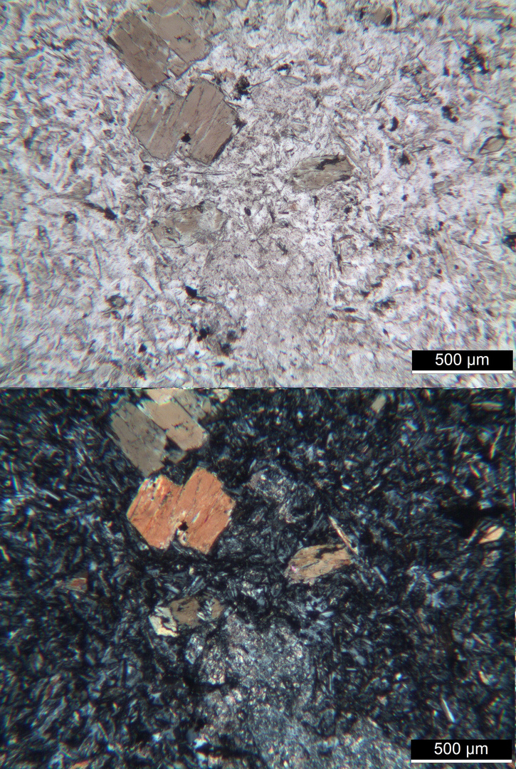 Polarisationsmikroskopie: Dioritporphyrit aus dem Vallée de Lys, Pyrenäen