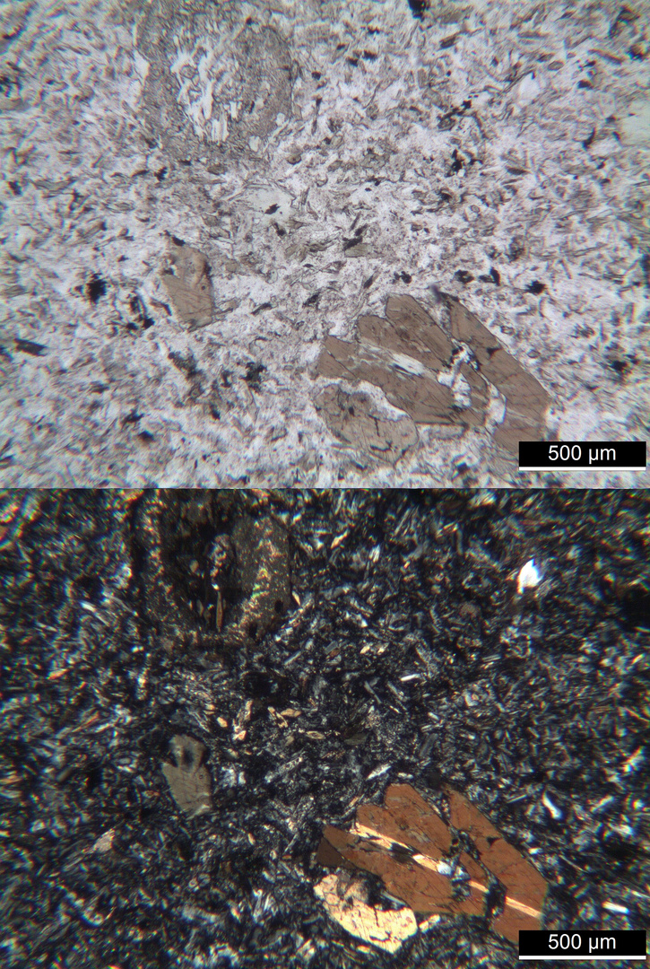 Polarisationsmikroskopie: Dioritporphyrit aus dem Vallée de Lys, Pyrenäen