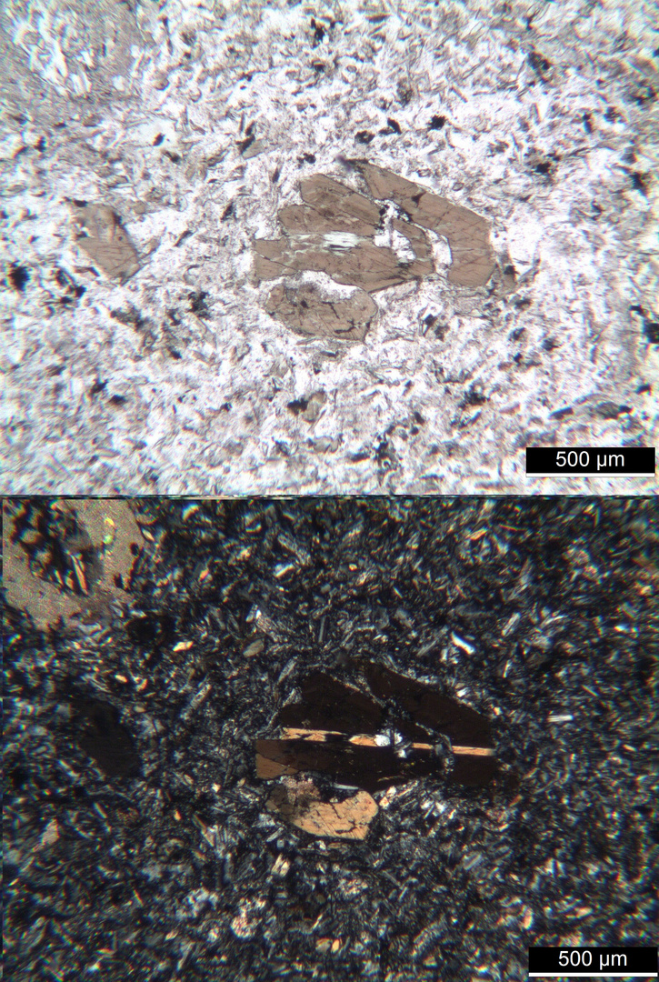 Polarisationsmikroskopie: Dioritporphyrit aus dem Vallée de Lys, Pyrenäen