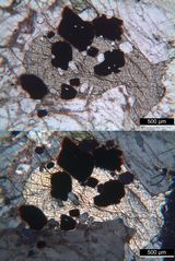 Polarisationsmikroskopie: Elaeolithsyenit aus Norwegen