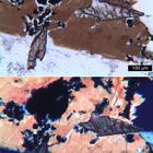 Polarisationsmikroskopie: Elaeolithsyenit aus Süd-Portugal