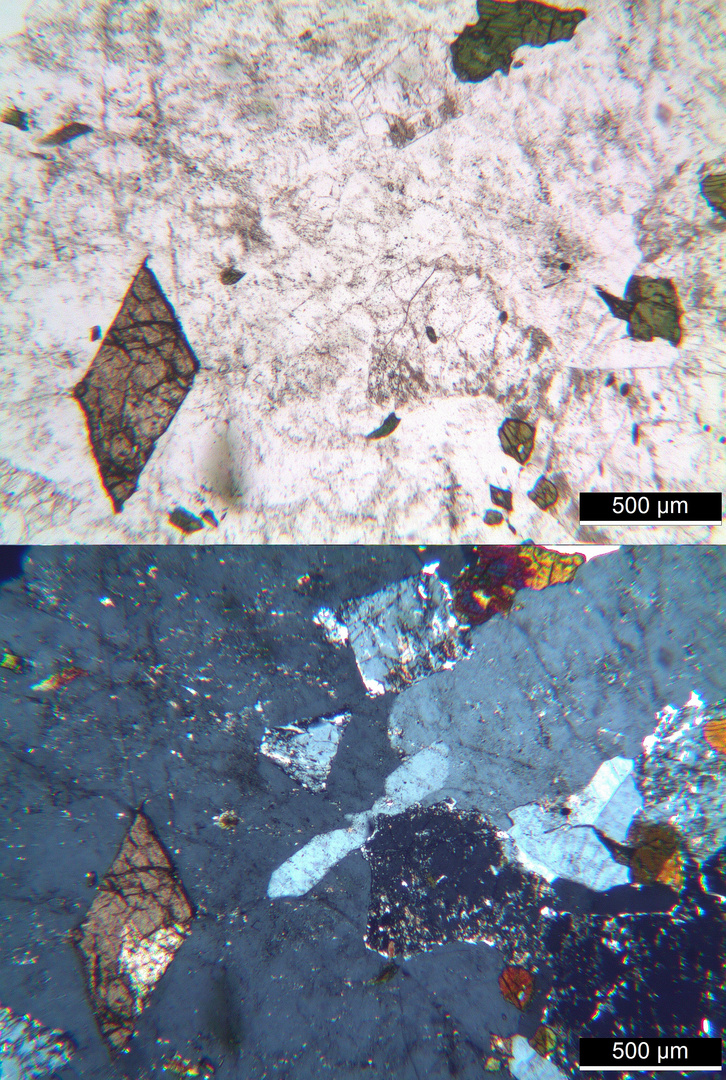 Polarisationsmikroskopie: Elaeolithsyenit von Brennäset, Alnö, Schweden