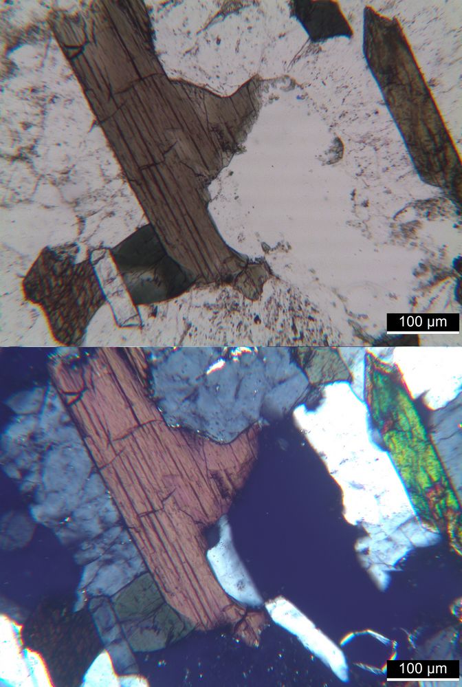 Polarisationsmikroskopie: Elaeolithsyenit von der Kola-Halbinsel