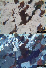 Polarisationsmikroskopie: Elaeolithsyenit von der Kola-Halbinsel