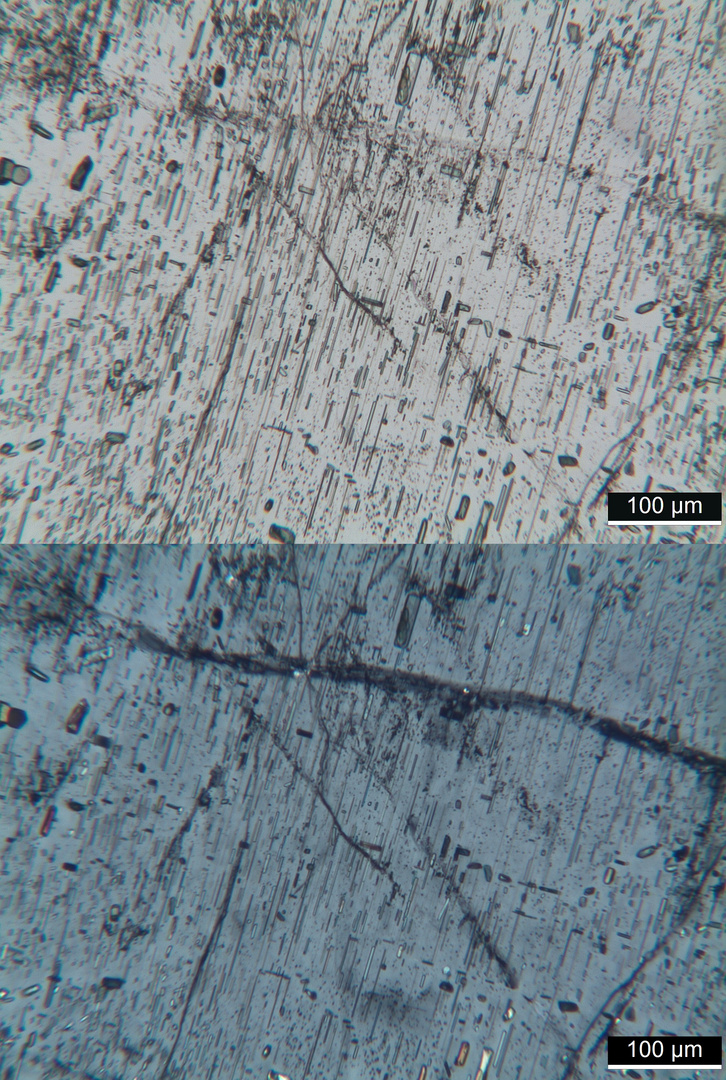 Polarisationsmikroskopie: Elaeolithsyenit von der Kola-Halbinsel