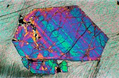 Polarisationsmikroskopie: Epidot in Kalksilikatfels