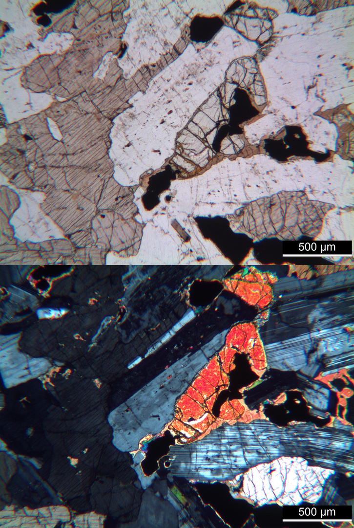 Polarisationsmikroskopie: Essexit von Rongstock, Böhmen