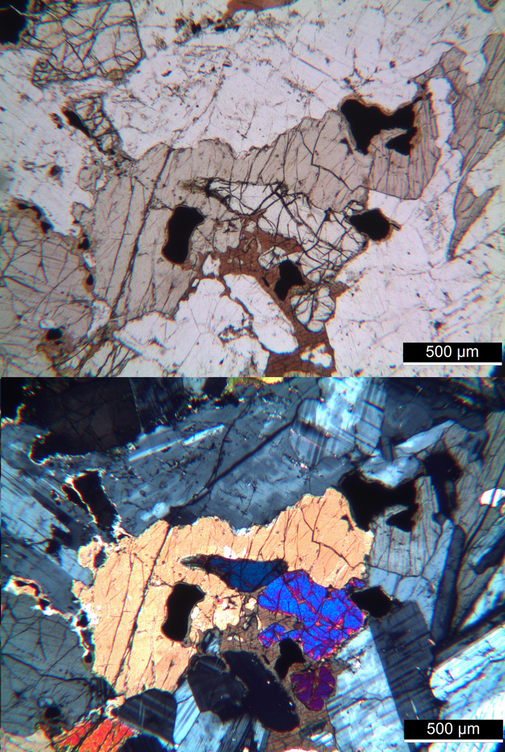 Polarisationsmikroskopie: Essexit von Rongstock, Böhmen