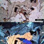 Polarisationsmikroskopie: Essexit von Rongstock, Böhmen