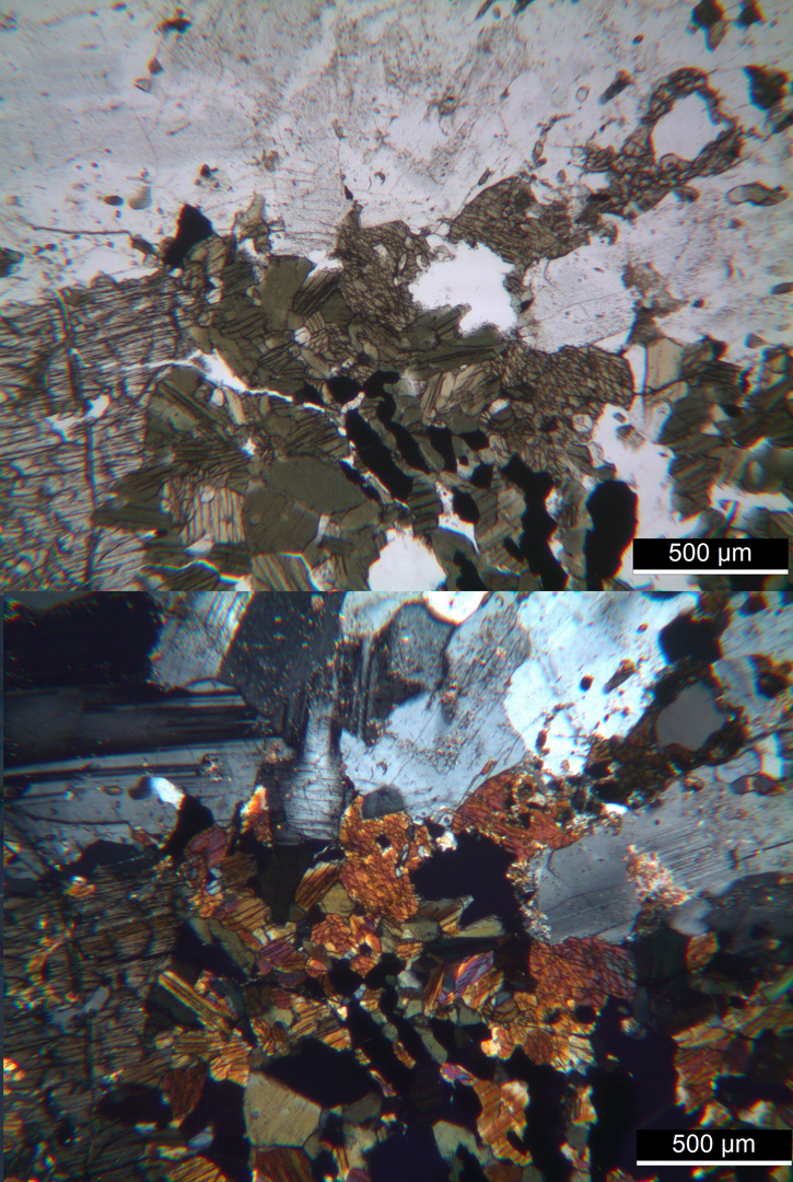 Polarisationsmikroskopie: "Gabbrodiorit" aus Norwegen