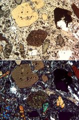 Polarisationsmikroskopie: Gauteit von Mühlörzen