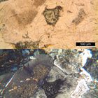 Polarisationsmikroskopie: Gepresster Granit