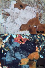 Polarisationsmikroskopie: Glimmer-Amphibol-Syenit aus dem Schwarzwald