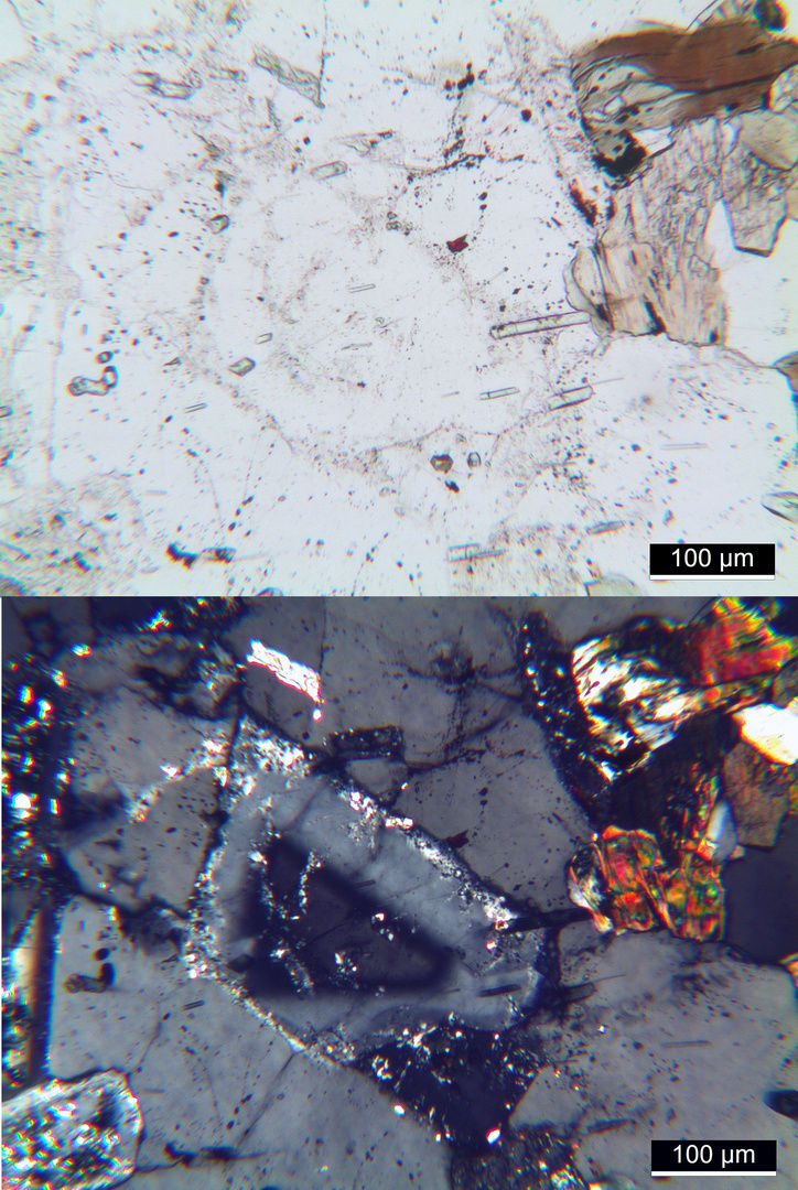 Polarisationsmikroskopie: Glimmer-Amphibol-Syenit aus dem Schwarzwald