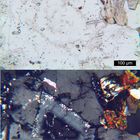 Polarisationsmikroskopie: Glimmer-Amphibol-Syenit aus dem Schwarzwald