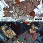 Polarisationsmikroskopie: Glimmer-Amphibol-Syenit aus dem Schwarzwald