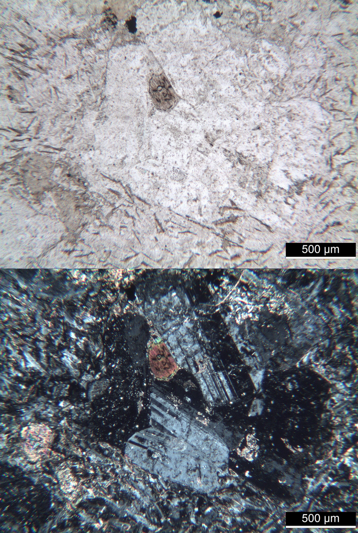 Polarisationsmikroskopie: Glimmerdioritporphyrit aus dem Schwarzwald