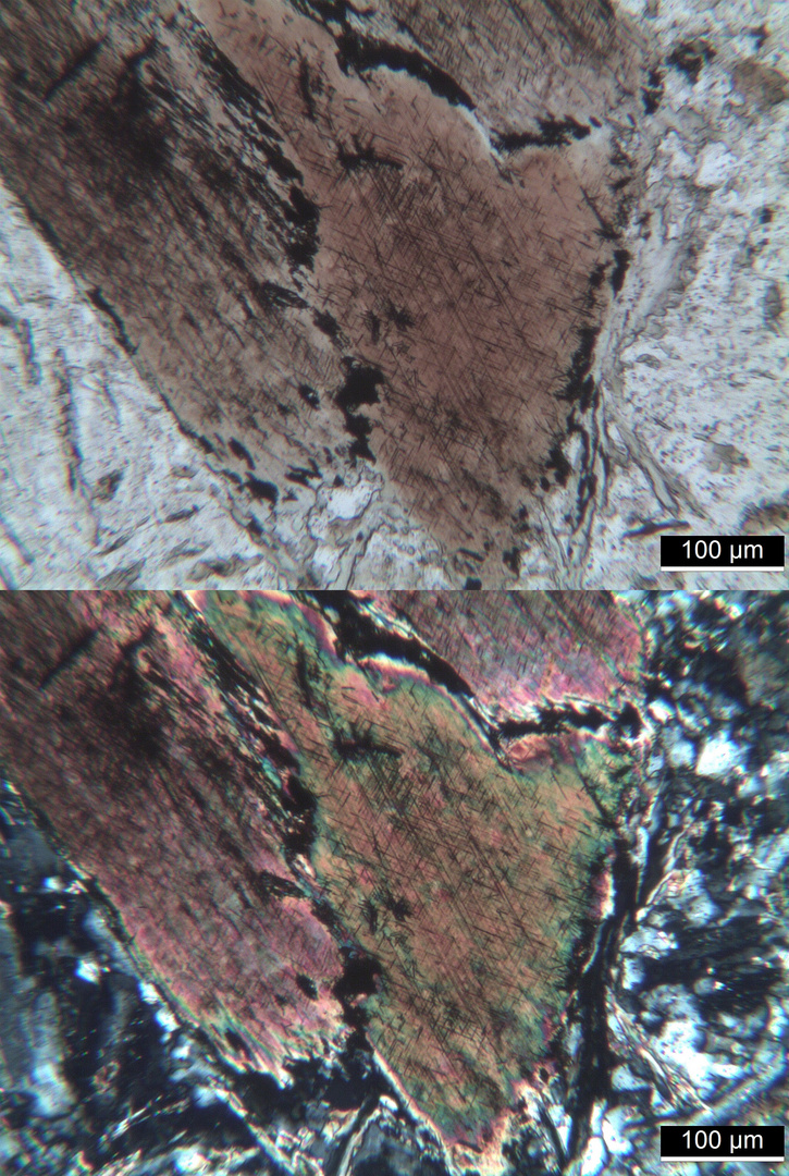 Polarisationsmikroskopie: Glimmerdioritporphyrit aus dem Schwarzwald