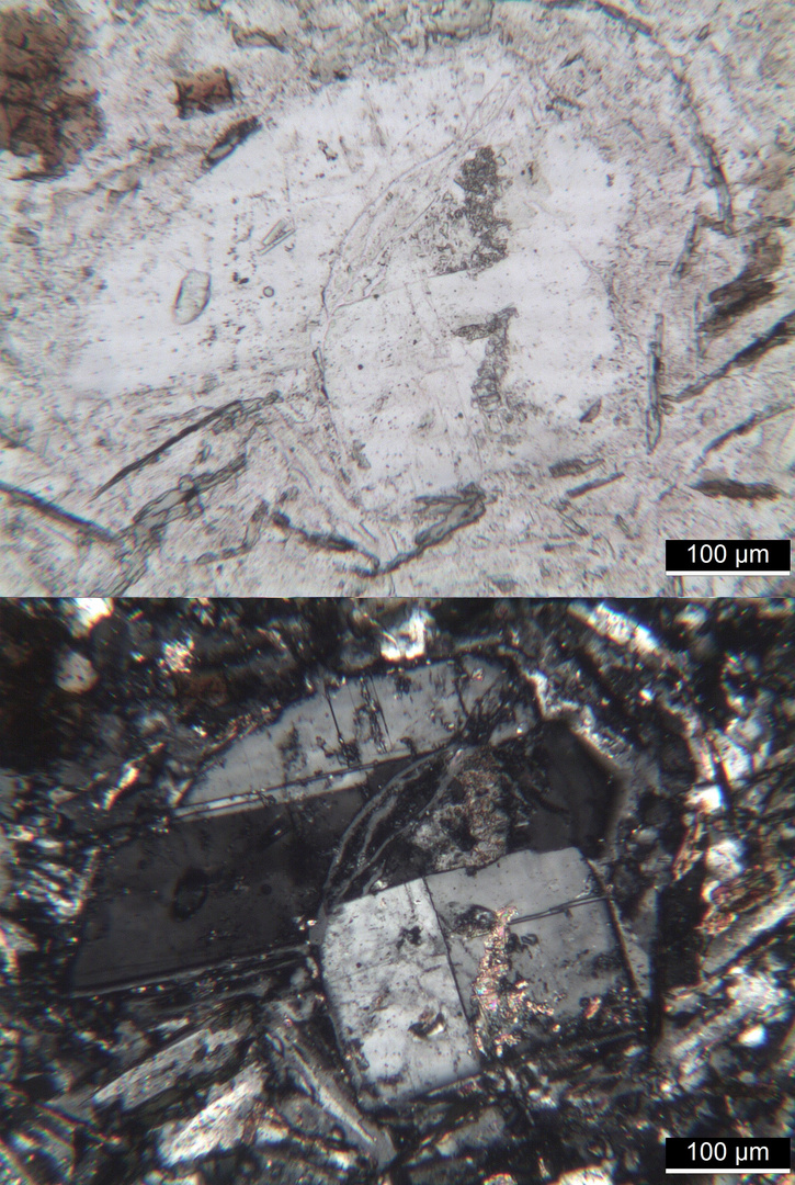 Polarisationsmikroskopie: Glimmerdioritporphyrit aus dem Schwarzwald