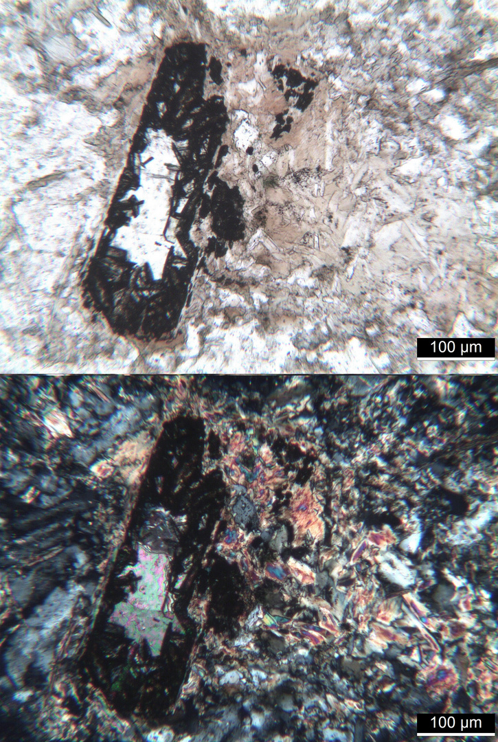 Polarisationsmikroskopie: Glimmerdioritporphyrit aus dem Schwarzwald