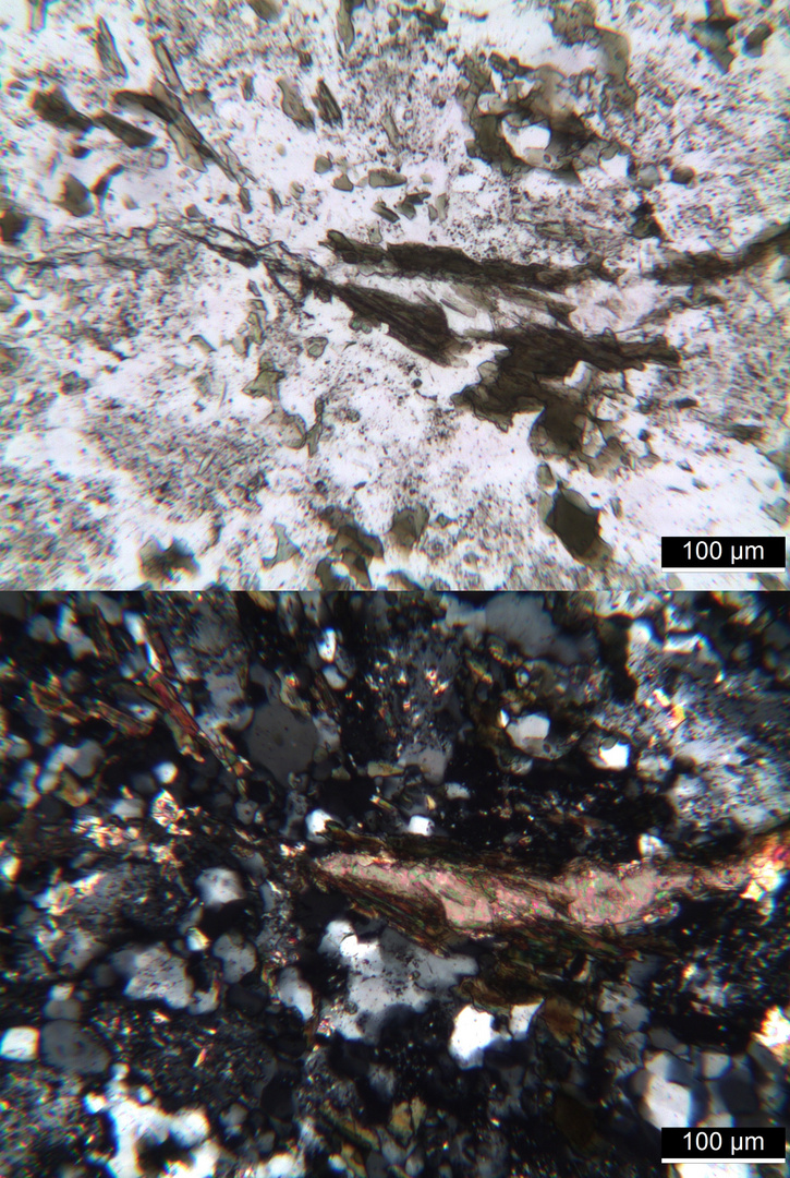 Polarisationsmikroskopie: Glimmermalchit aus dem Odenwald