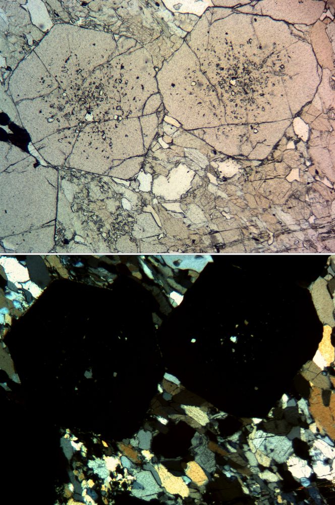 Polarisationsmikroskopie: Granat in Eklogit