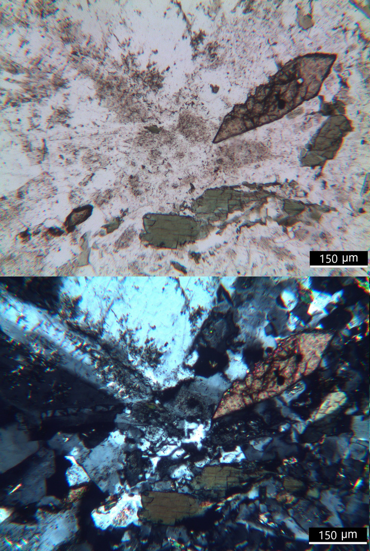 Polarisationsmikroskopie: Granitporphyr aus dem Odenwald