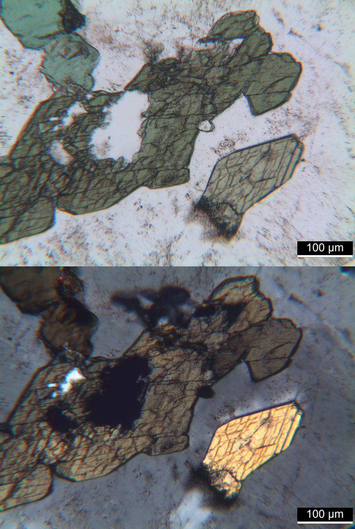 Polarisationsmikroskopie: Granodiorit aus der Sierra Nevada, Kalifornien