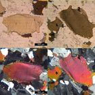 Polarisationsmikroskopie: Granodiorit aus der Sierra Nevada, Kalifornien