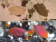 Polarisationsmikroskopie: Granodiorit aus der Sierra Nevada, Kalifornien