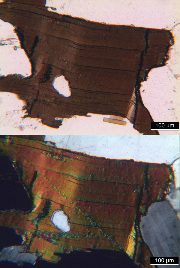 Polarisationsmikroskopie: Granodiorit aus der Sierra Nevada, Kalifornien